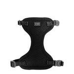 Voir l’image dans la galerie, CLOE CLUZO Chat Harnais Filet S/M Noir