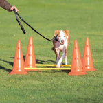 Voir l’image dans la galerie, TRIXIE Jouet Chien Jeux Agilité Obstacle 4 Cônes et 2 Piquets