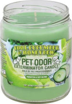 Voir l’image dans la galerie, HOLLYMOLLY Chandelle Cool Cucumber & Honeydew 185g