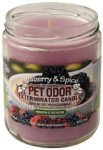 Voir l’image dans la galerie, HOLLYMOLLY Chandelle Mulberry Spice 185g