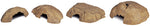 Voir l’image dans la galerie, Exo Terra - Grotte Cachette - Cachette pour Reptiles