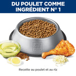Voir l’image dans la galerie, Hill's Science Diet - Vitalité Seniors, Poulet et Riz - Nourriture Sèche pour Chiens Adultes 7+ Ans