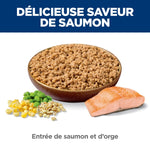 Voir l’image dans la galerie, Hill's Science Diet - Chien Adulte Entrée de Saumon et Orge - Nourriture Humide pour Chiens
