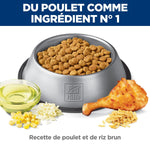 Voir l’image dans la galerie, Hill's Science Diet - Digestion Parfaite (Perfect Digestion), Poulet et Riz Brun - Nourriture Sèche pour Chiens Adultes 7+ Ans