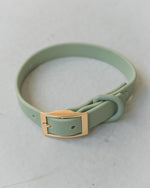 Voir l’image dans la galerie, DEXYPAWS Collier Imperméable Vert Sauge M