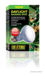 Voir l’image dans la galerie, Exo Terra - Ampoule-Spot Lumière du Jour - Éclairage pour Terrariums
