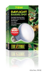Voir l’image dans la galerie, EXO TERRA Ampoule 75W Lumière du Jour R20 pour Reptiles