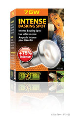 Voir l’image dans la galerie, EXO TERRA Ampoule Intense 75W S20 pour Reptiles