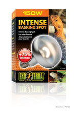 Voir l’image dans la galerie, Exo Terra - Ampoule-Spot de Lézardage Intense - Éclairage pour Terrariums