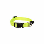 Voir l’image dans la galerie, Rogz Utility - Collier Réfléchissant - Collier pour Chiens