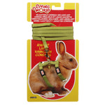 Voir l’image dans la galerie, *LW Laisse 48" & Harnais Lapin Vert