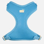 Voir l’image dans la galerie, PETITE PISTACHE Harnais Filet XXS Bleu Royal