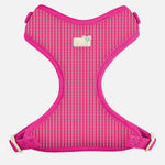Voir l’image dans la galerie, PETITE PISTACHE Harnais Filet Motif Plaid Rose XS