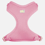 Voir l’image dans la galerie, PETITE PISTACHE Harnais Filet XS Rose