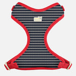 Voir l’image dans la galerie, PETITE PISTACHE Harnais Filet Motif Bleu/Rayé Gris XXXS