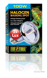 Voir l’image dans la galerie, *EXO TERRA Ampoule Halogène 100W pour Reptiles