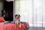 Voir l’image dans la galerie, FUZZYARD Life Couverture Gris L