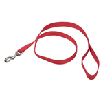 Voir l’image dans la galerie, *COASTAL Laisse Nylon Web 3/8x48" Rouge