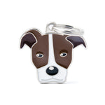 Voir l’image dans la galerie, My Family - Friends Pitbull Brun & Blanc - Médaille d'Identité pour Chiens