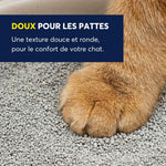 Voir l’image dans la galerie, Intersand OdourLock - Parfum Délicat - Litière Légère Agglomérante pour Chats