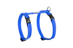 Voir l’image dans la galerie, *RCP Chat Harnais Base M 12-18" Bleu Royal