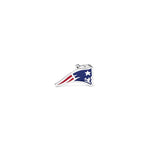Voir l’image dans la galerie, My Family - NFL New England Patriots - Médaille d'Identité pour Chiens
