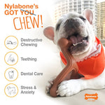 Voir l’image dans la galerie, Nylabone - Os Durable Saveur de Beurre d'Arachide - Jouet à Mâcher pour Chiens