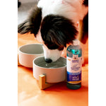 Voir l’image dans la galerie, Nylabone - Liquide Enlève-Plaque - Additif pour l'Eau pour Chiens