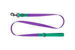 Voir l’image dans la galerie, RCP Laisse Imperméable 1x60" Mauve/Perruche
