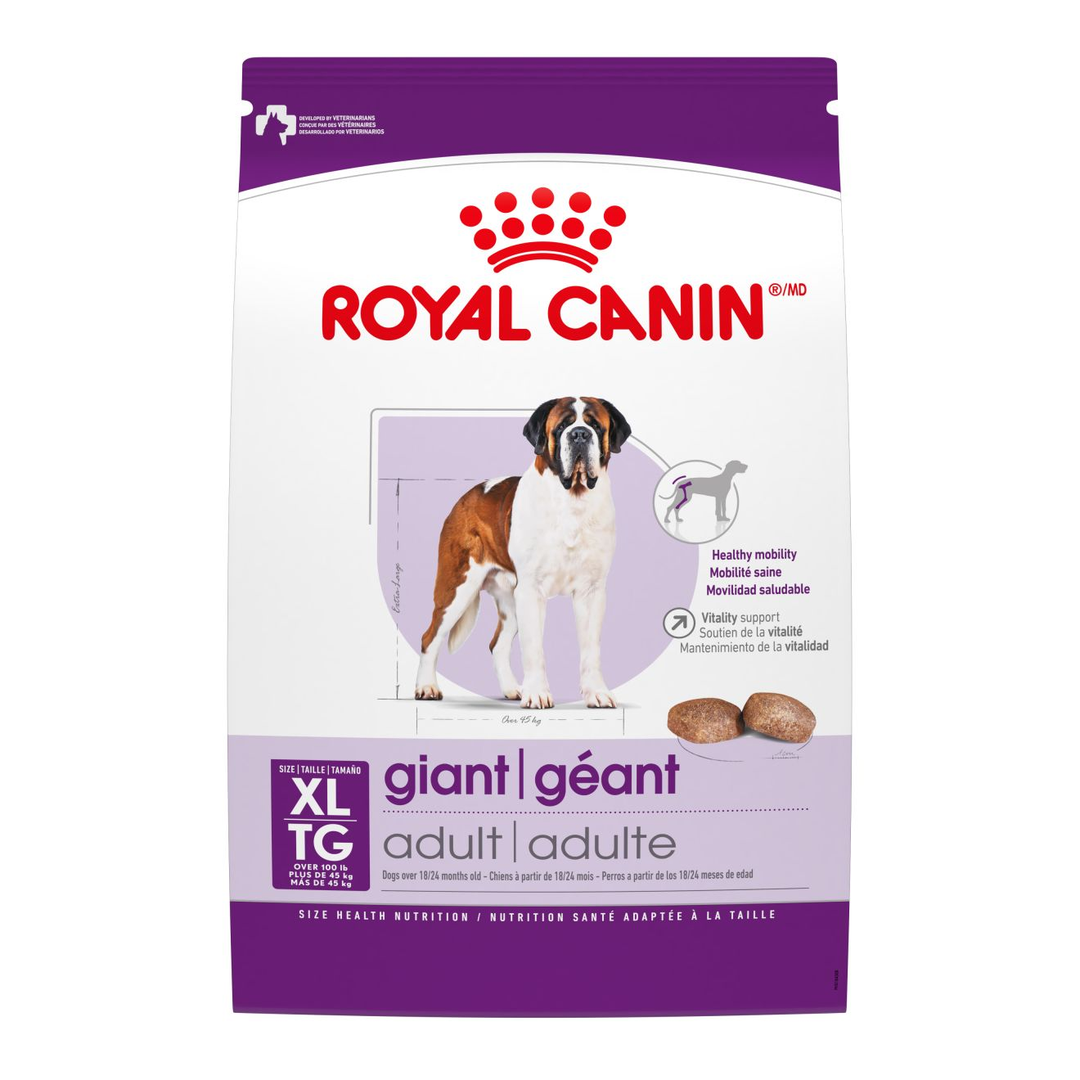 Royal Canin Géant - Nourriture Sèche pour Chiens Adultes