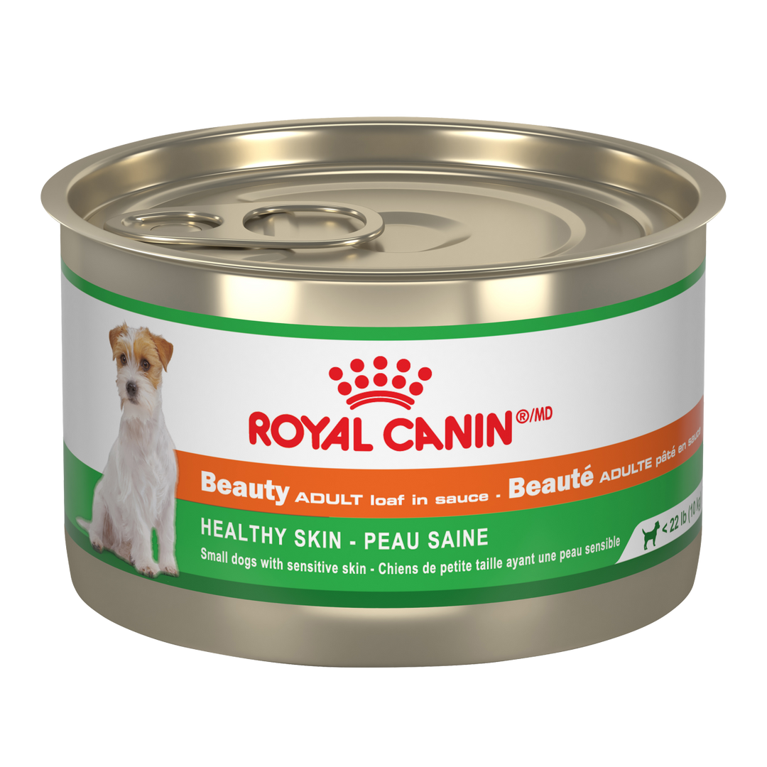 Royal Canin - Chien Beauté Adulte Peau Saine Pâté en Sauce - Nourriture Humide pour Chiens
