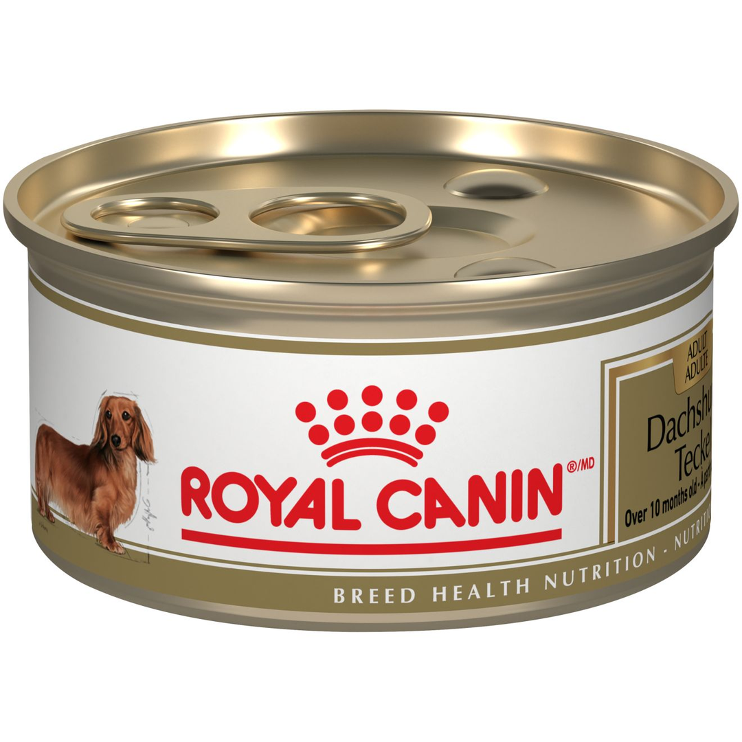 Royal Canin - Teckel Pâté en Sauce - Nourriture Humide pour Chiens