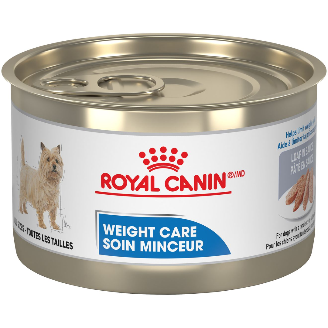 Royal Canin - Soin Minceur - Pâté en Sauce - Nourriture Humide pour Chiens