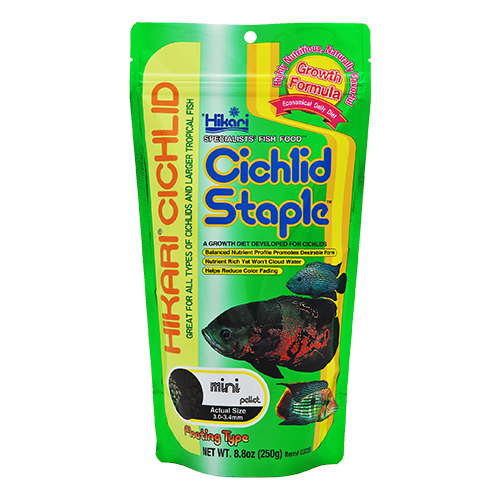HIKARI Nourriture Cichlid Staple Medium 2oz