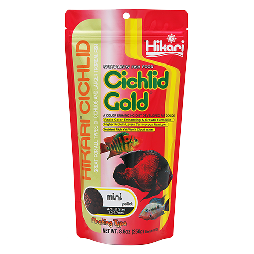 HIKARI Nourriture Cichlid Gold Large 2oz