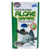 HIKARI Nourriture Algae Wafers 8.80oz