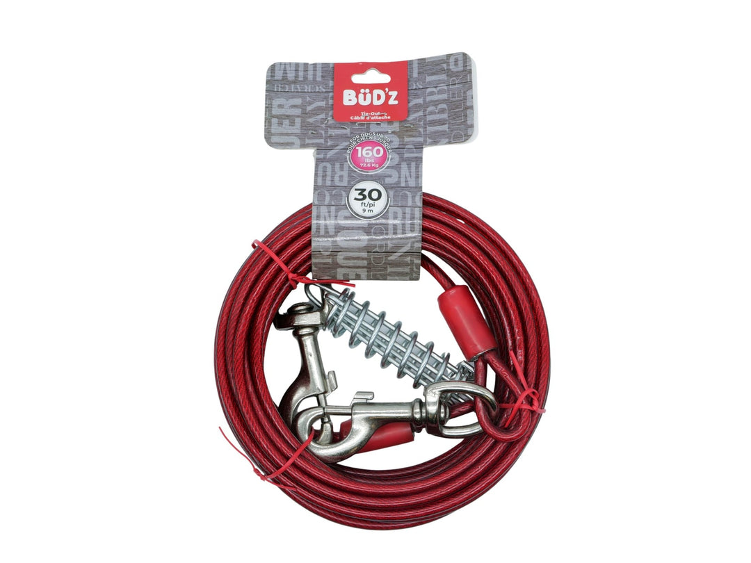 BüD'z - Câble d'Attache - Système d'Attache pour Chiens