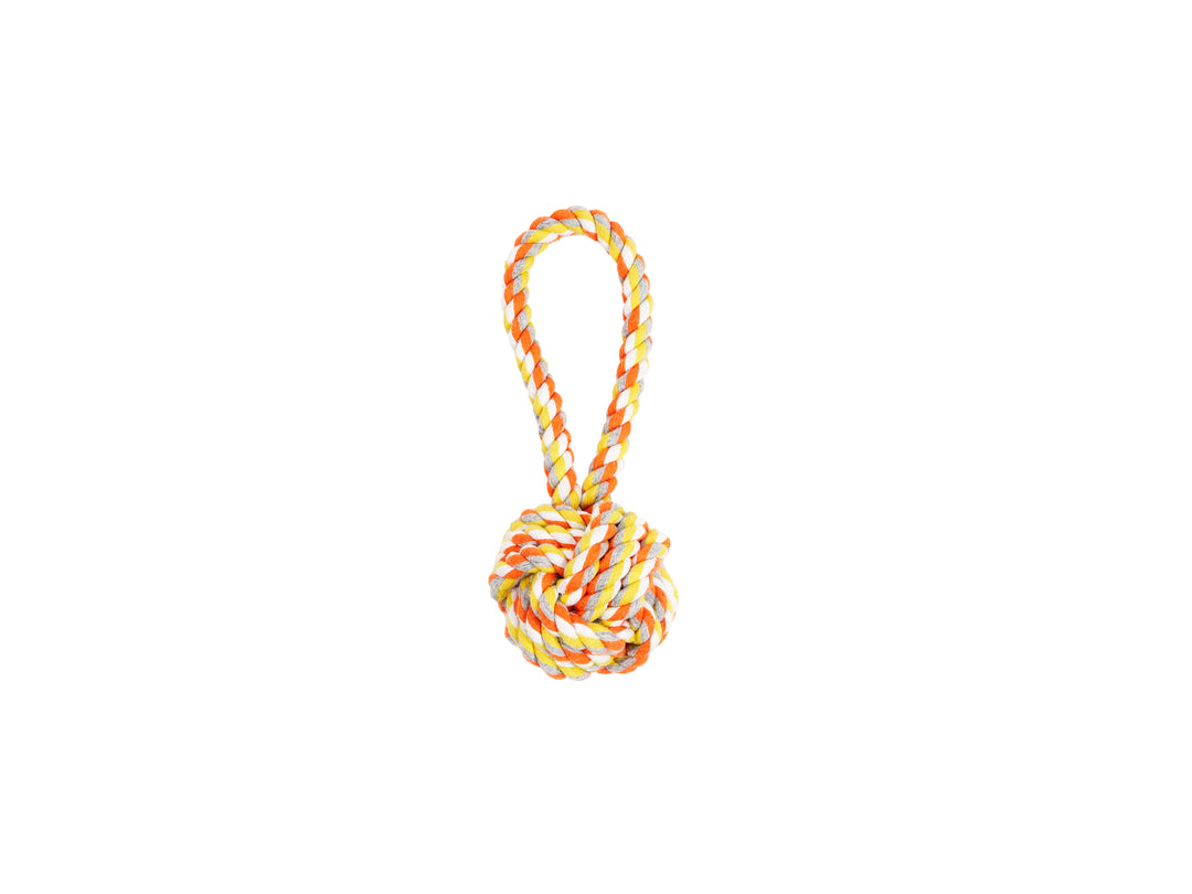 BüD'z - Jouet de Corde avec Boucle pour Chiens, 19 cm
