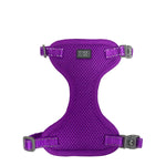 Voir l’image dans la galerie, CLOE CLUZO Chat Harnais Filet L/XL Mauve