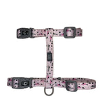 Voir l’image dans la galerie, CLOE CLUZO Chat Harnais Motif Ajustable Souris  S/M