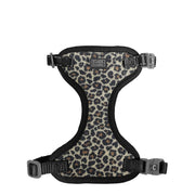 CLOE CLUZO Chat Harnais Filet Motif Léopard L/XL