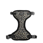 Voir l’image dans la galerie, CLOE CLUZO Chat Harnais Filet Motif Léopard L/XL