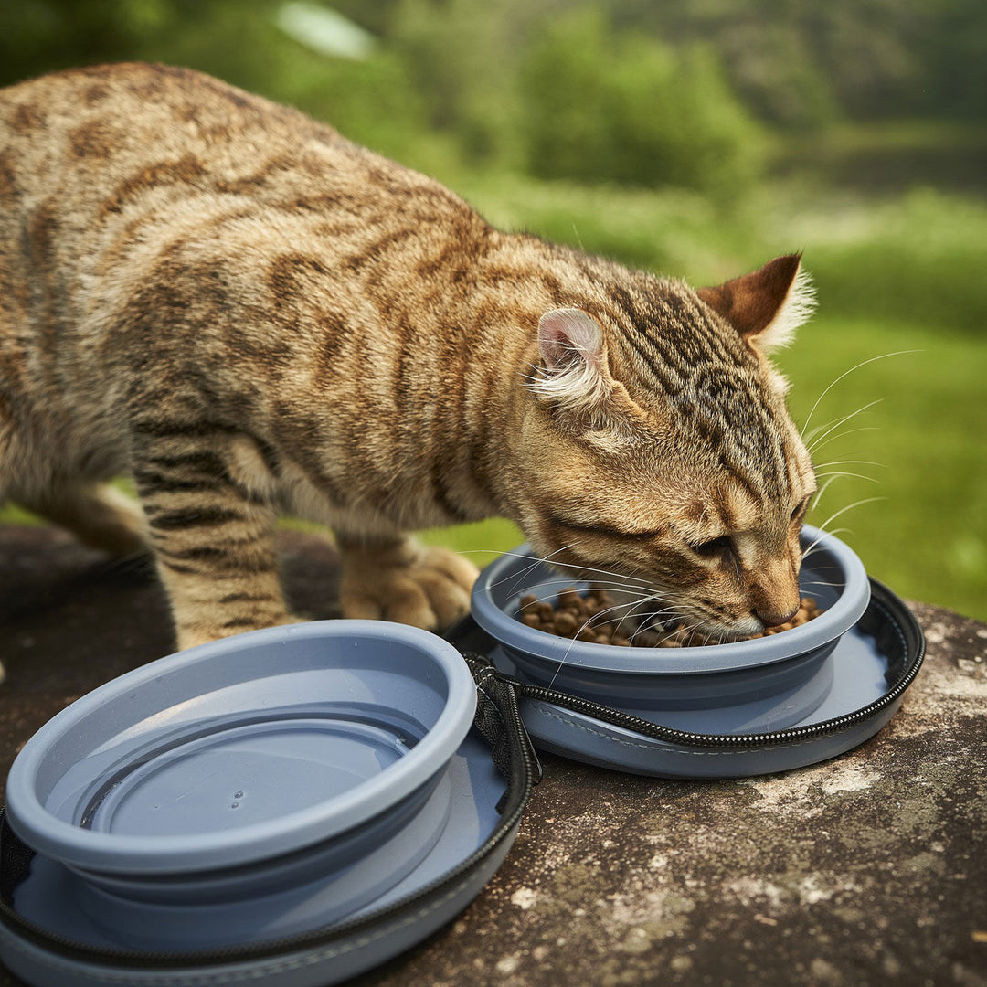 PAWTEK Bols Pliables Portable en Silicone Bleu