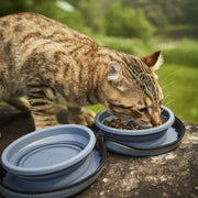 PAWTEK Bols Pliables Portable en Silicone Bleu