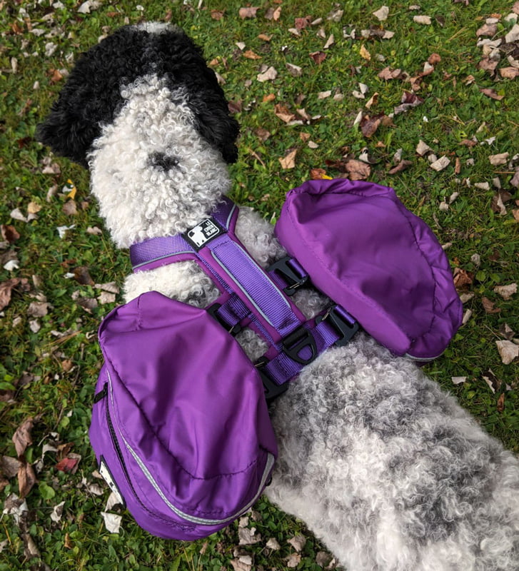 CHIEN BLANC Sac à Dos Expédition Mauve