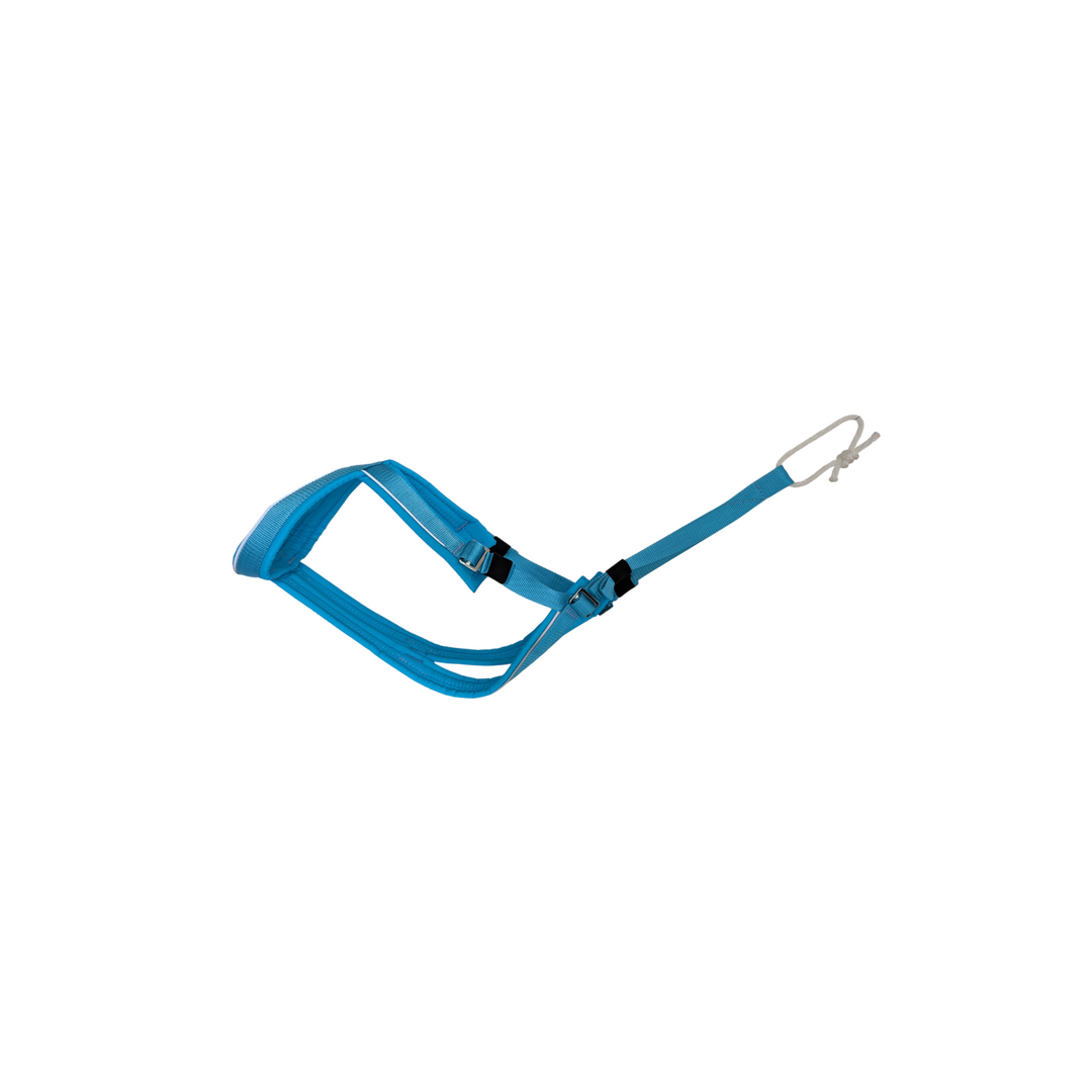 CHIEN BLANC Plitshest Openback L Bleu