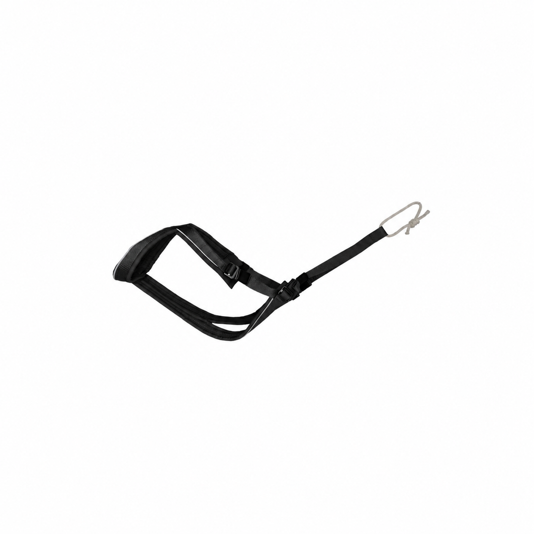 CHIEN BLANC Plitshest Openback L Noir