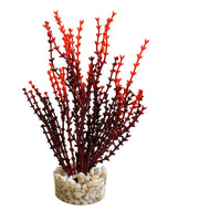 SYDECO Plante Deco Mousse Aqua Nano 8cm pour Aquarium