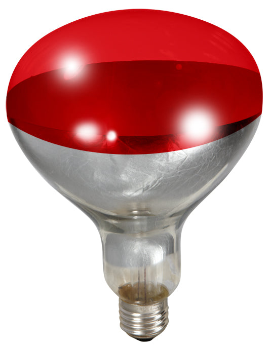 Miller - Ampoule Chauffante 250 W - Ampoule d'Élevage pour Volailles