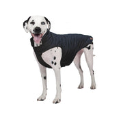 SHEDROW Brentwood Manteau Matelassé Noir S